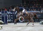 Whitaker M_Viking_Verona2014_SS7_8536.jpg : FIERA CAVALLI 2014, Viking, Whitaker Michael, foto di Stefano Secchi ©